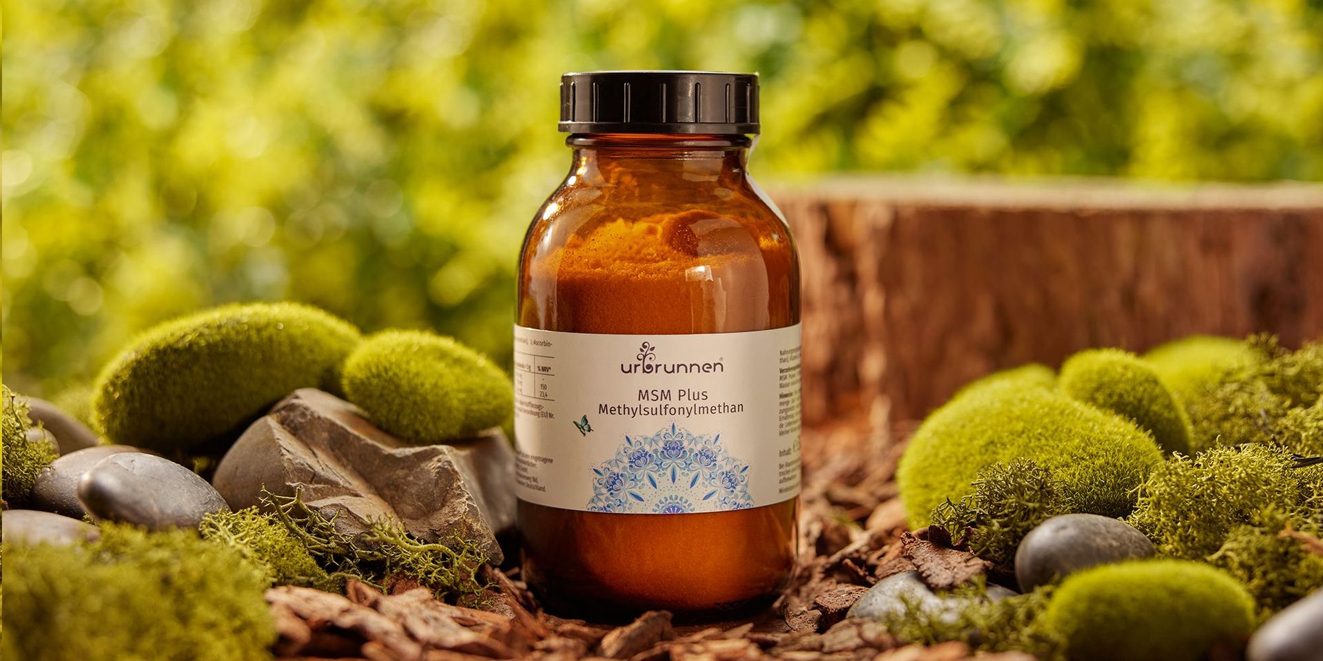 MSM Plus Nahrungsergänzungsmittel im Garten auf Moos und Steinen platziert