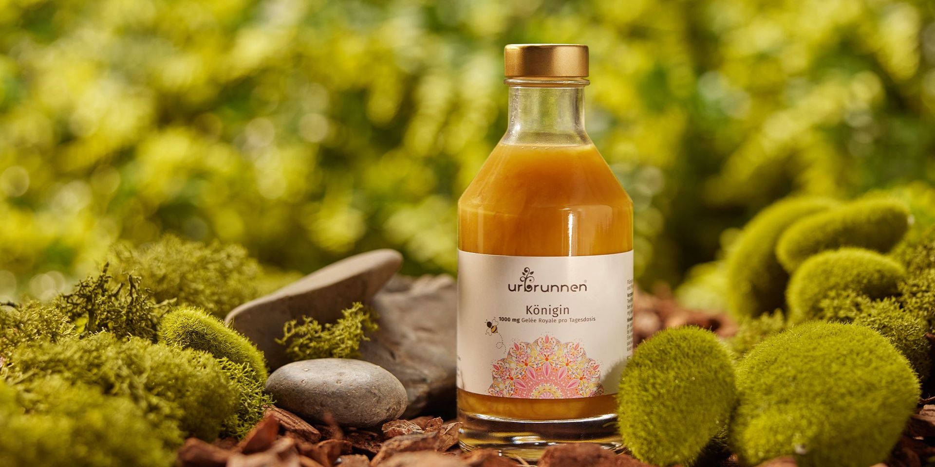 Flasche mit Gelee Royale auf Waldboden, umgeben von Moos und Steinen, für Mobilitäts- und Gesundheitsprodukte.
