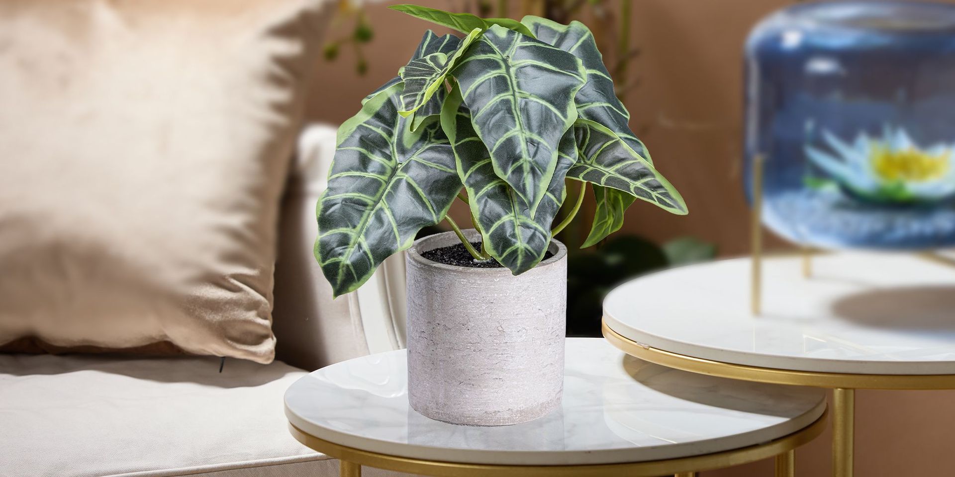 Pflanze in modernem Wohnzimmer auf Marmortisch, betont Mobilität und Freizeit bei CHANNEL21
