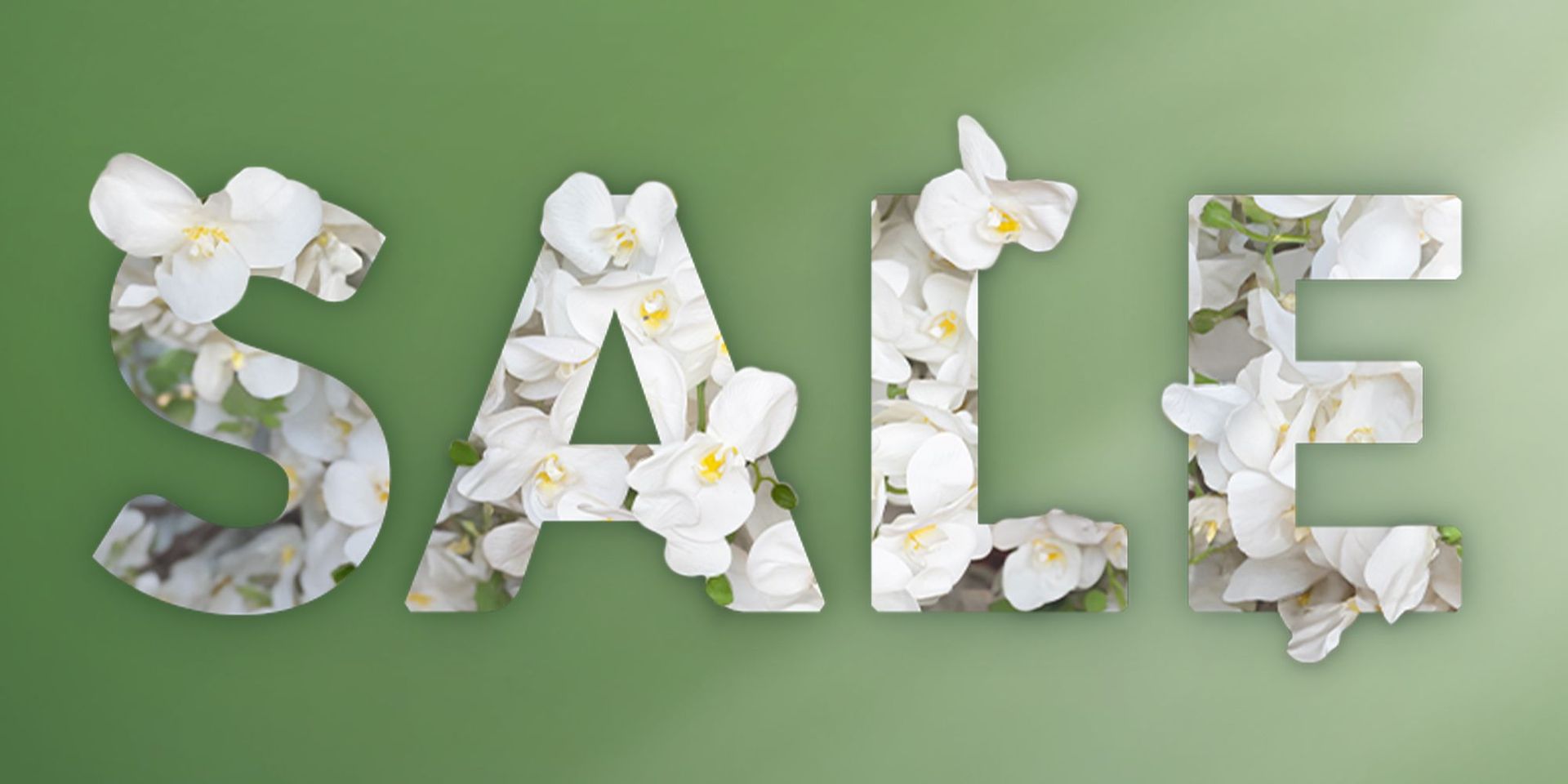 SALE-Schriftzug mit weißen Blumen auf grünem Hintergrund