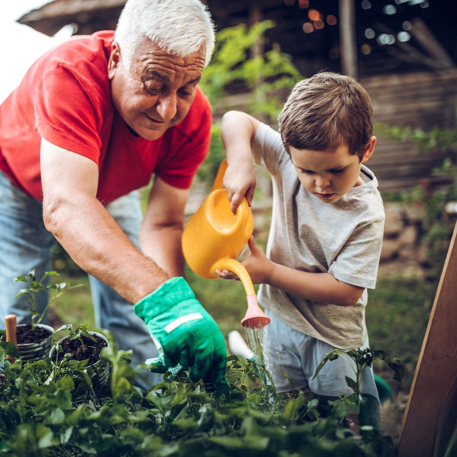Ein Kind gießt mit einer gelben Gießkanne Pflanzen, während eine ältere Person mit grünen Handschuhen daneben arbeitet.