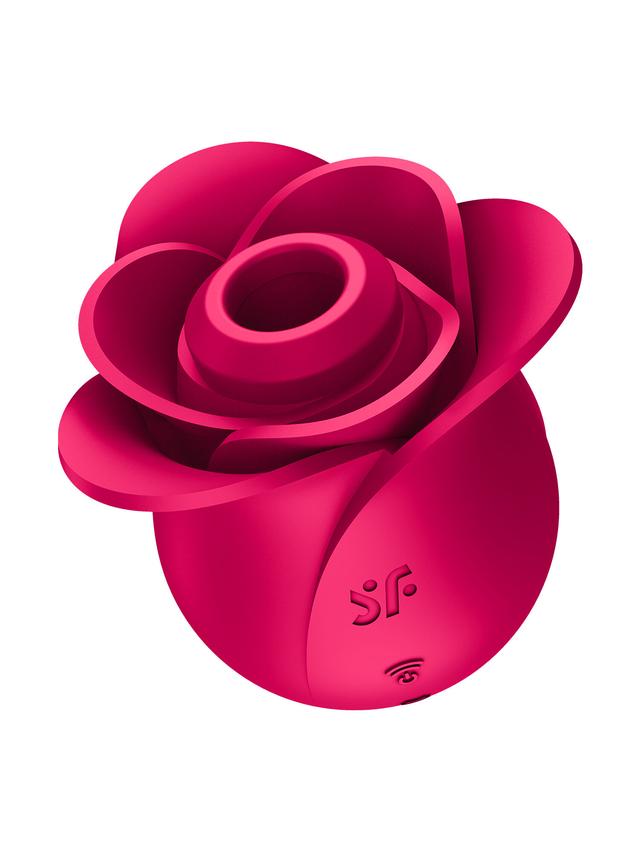 Produktbild von Vibrator Pro 2 Modern Blossom + Bag Set