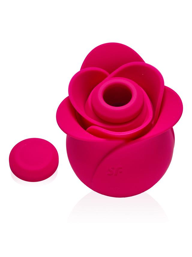 Produktbild von Vibrator Pro 2 Modern Blossom + Bag Set