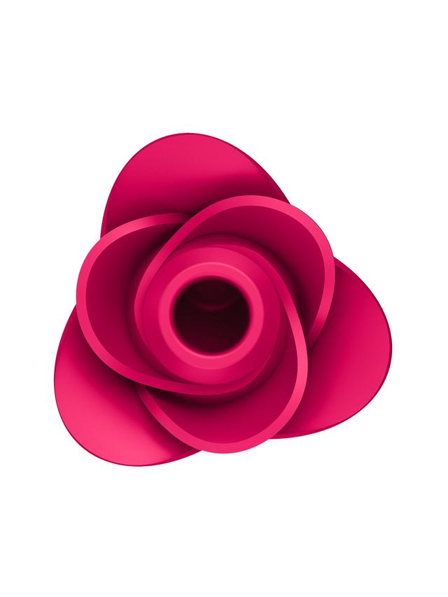 Produktbild von Vibrator Pro 2 Modern Blossom + Bag Set