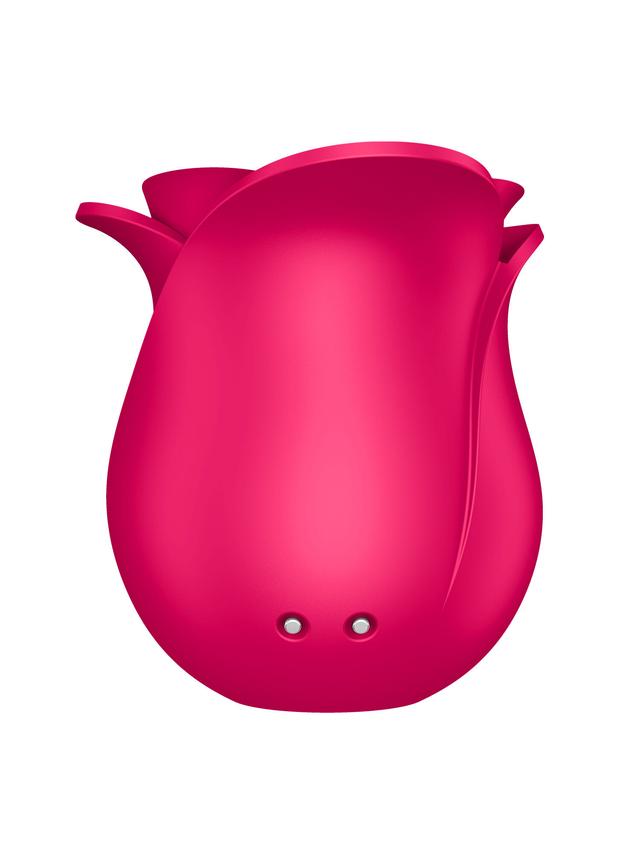 Produktbild von Vibrator Pro 2 Modern Blossom + Bag Set