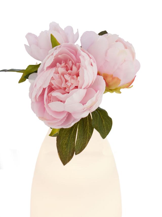 Produktbild von Tischleuchte mit Vasenfunktion und Pfingstrosen Kunstblumen, 2-in-1, wasserfest