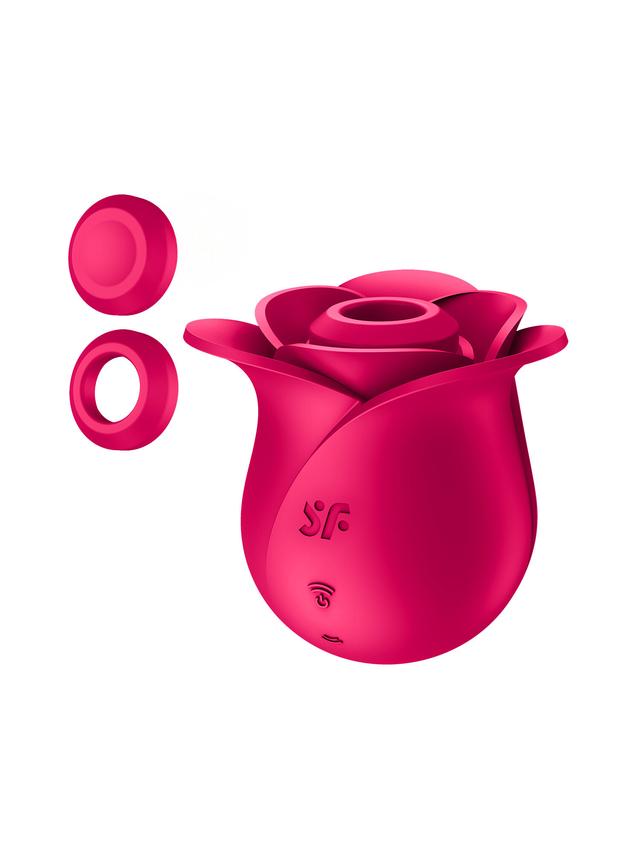 Produktbild von Vibrator Pro 2 Modern Blossom + Bag Set