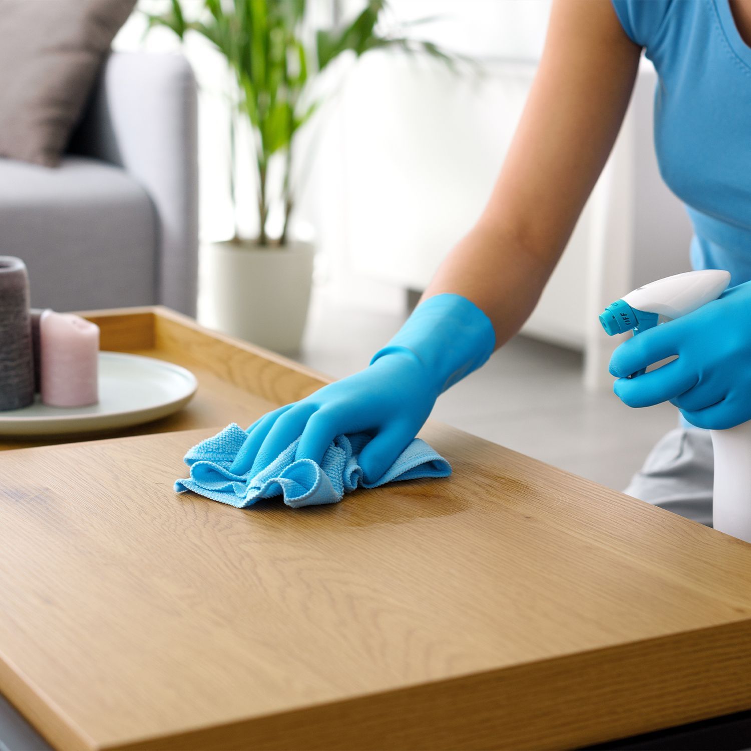 Reinigung & Pflege 240724-categorie-haus-wohnen-reinigung-pflege-1zu1.jpg