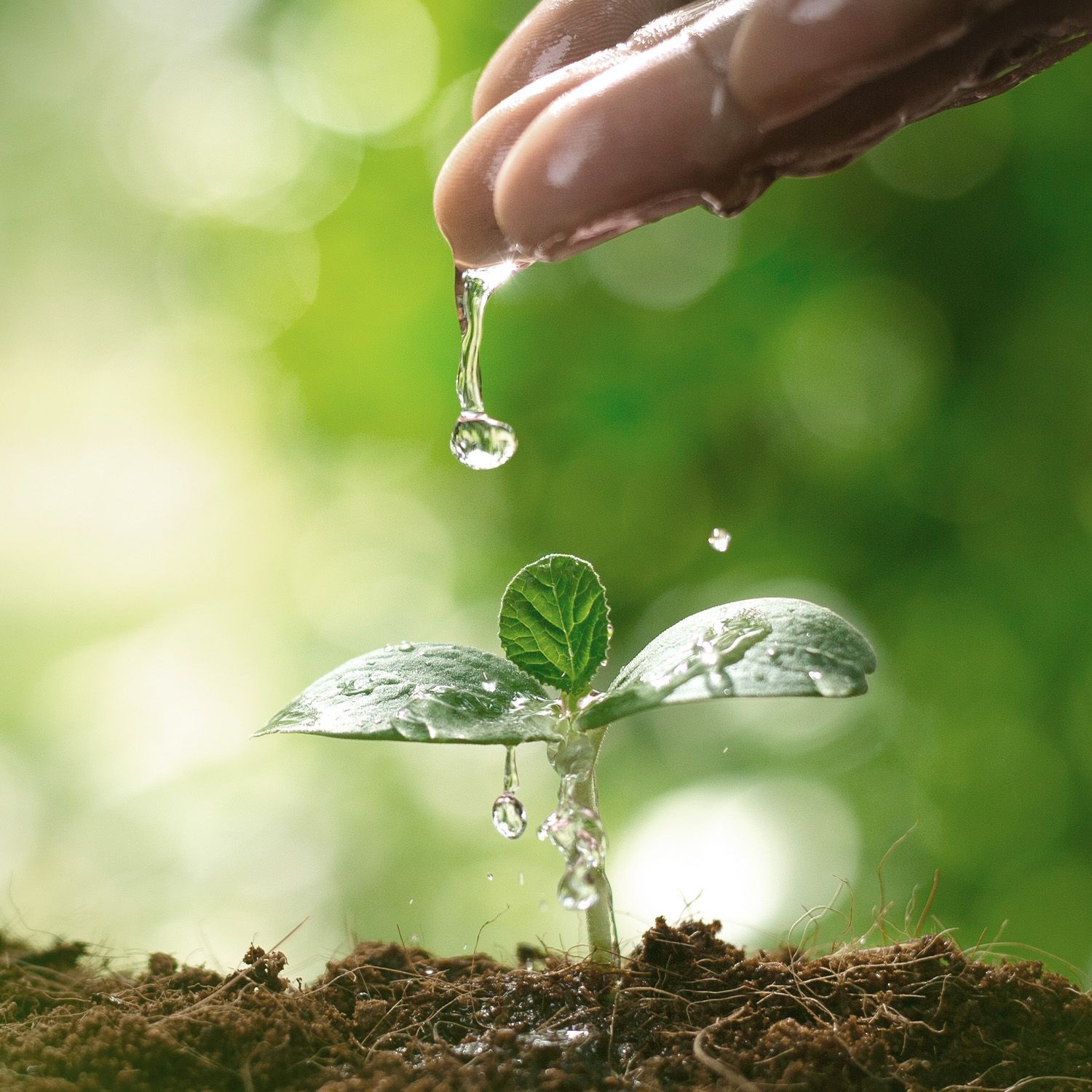 Umweltschutz 240830-wassersparregler-kampagne-umweltschutz-4zu3.jpg