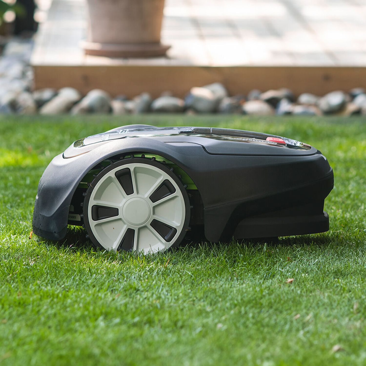 Endecken Sie einen strahlenden Außenbereich Roboter-Rasenmäher mit großen Rädern steht auf gepflegtem Rasen vor einem Steinbeet und einem Blumentopf.