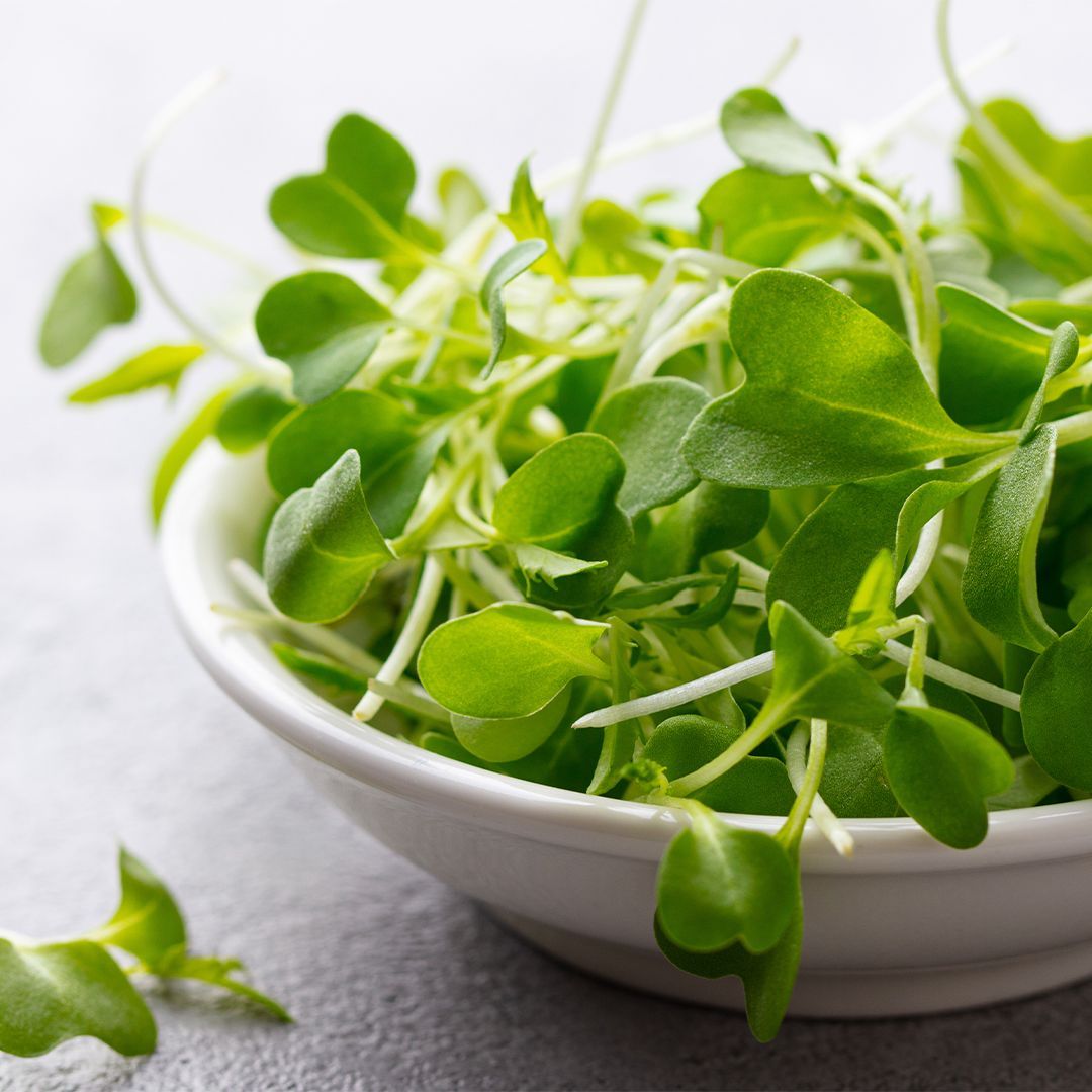 Brunnenkresse: Warum sie als gesündestes Gemüse der Welt gilt Schale mit frischen Brunnenkresseblättern und Stielen auf hellem Untergrund
