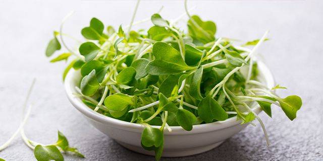 Frische Brunnenkresse Schale mit frischen Brunnenkresseblättern und Stielen auf hellem Untergrund